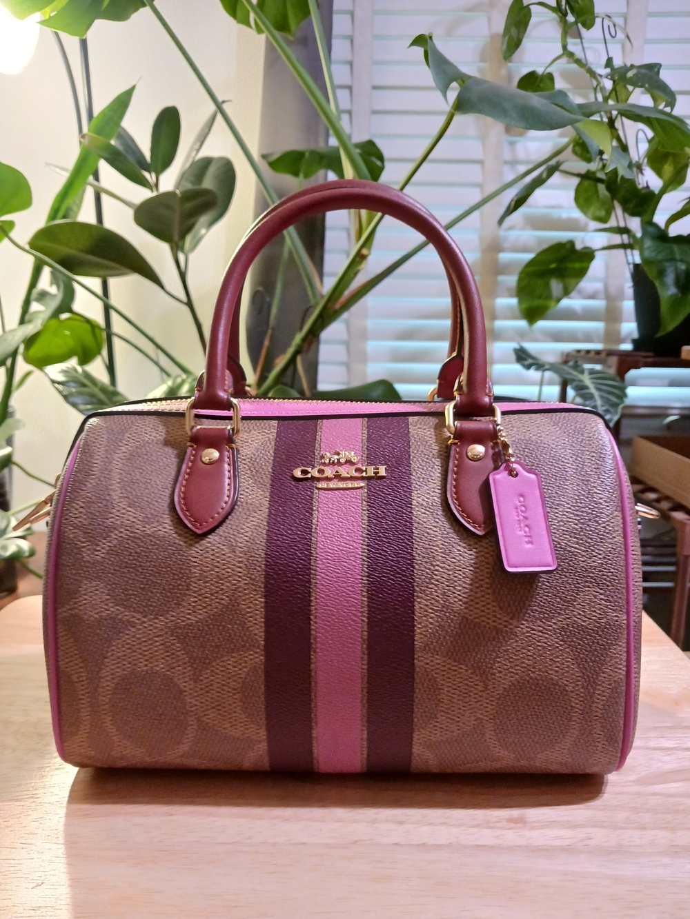 Coach Medium Varsity Stripe Rowan Satchel